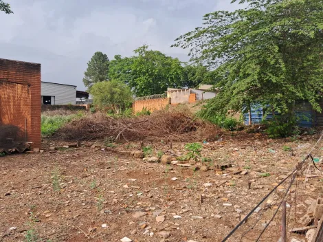 imagem 4 - Terreno amplo, plano, pronto para construir. imagem 4 - Terreno amplo, plano, pronto para construir.