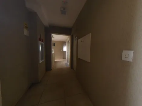 imagem 5 - Apartamento com 2 dormitórios sendo 1 suíte no Jardim Paraíso próximo a USP em São Carlos imagem 5 - Apartamento com 2 dormitórios sendo 1 suíte no Jardim Paraíso próximo a USP em São Carlos